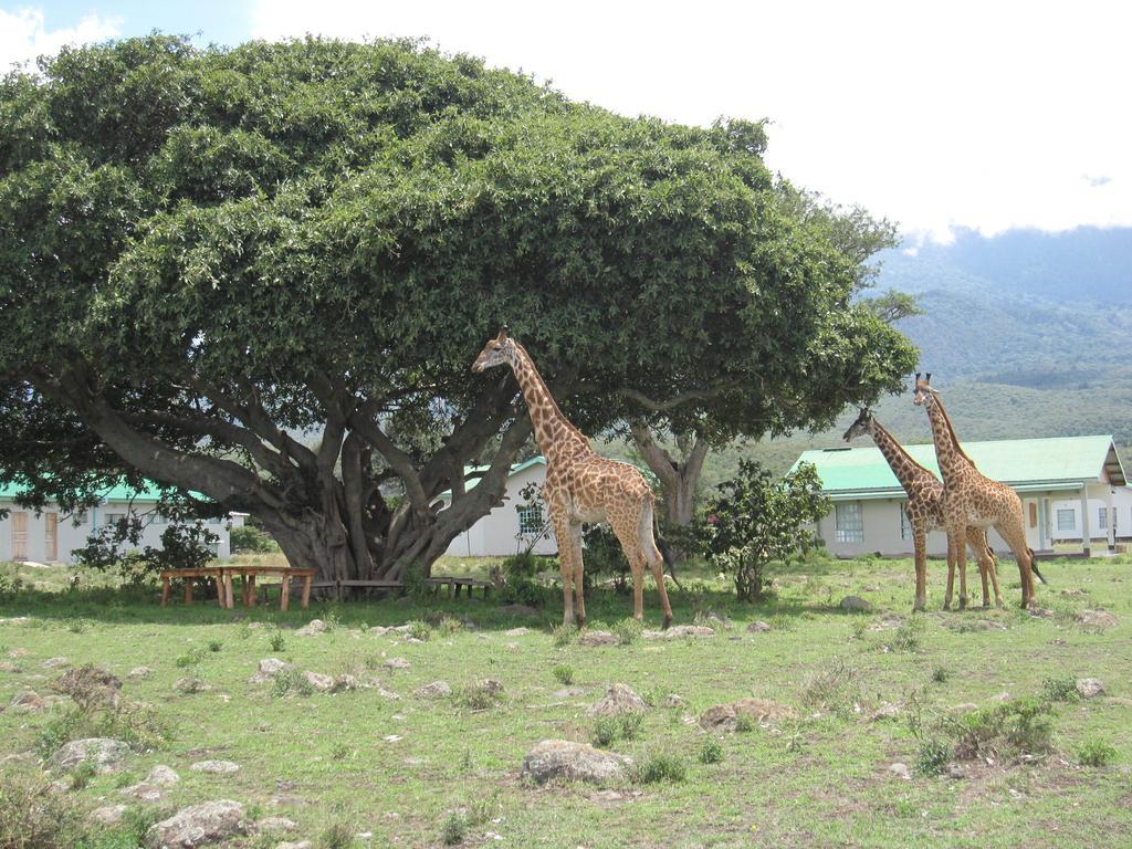Nature Homes - Africa Amini Life Nkoanrua Exteriér fotografie