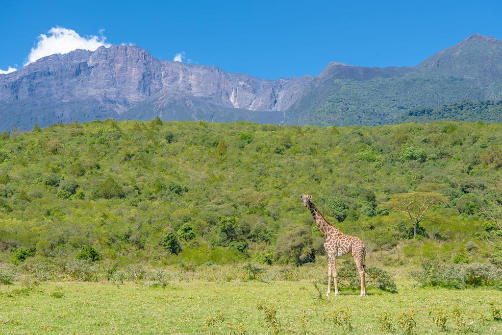 Nature Homes - Africa Amini Life Nkoanrua Exteriér fotografie