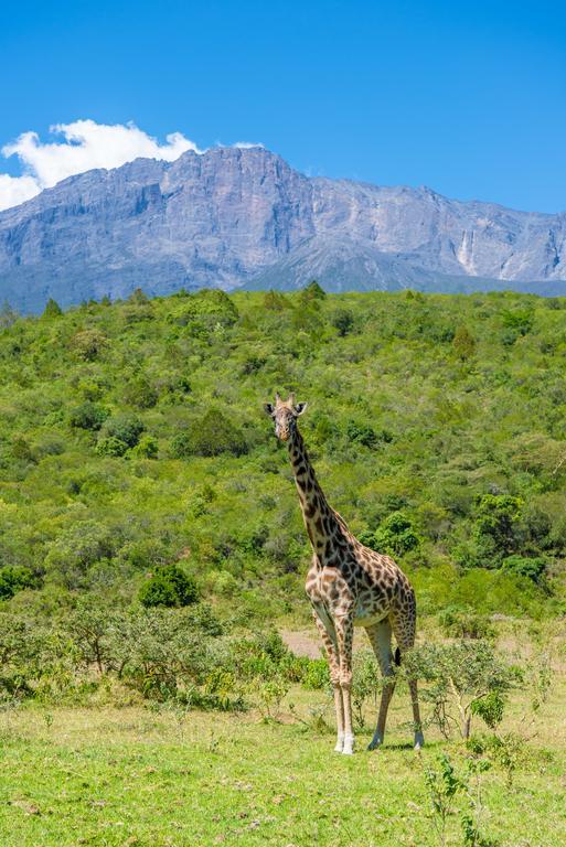 Nature Homes - Africa Amini Life Nkoanrua Exteriér fotografie